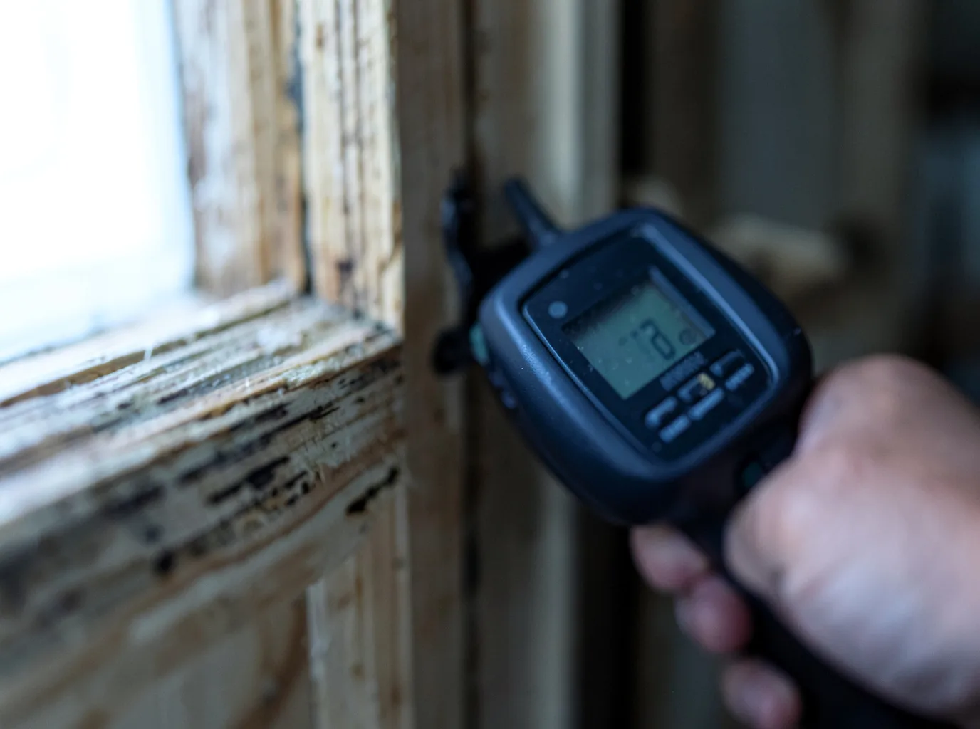 Ceiling Water Damage Repair in Merritt, MI